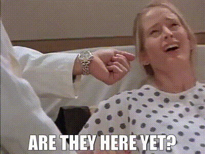 Are they here yet.gif