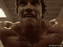 arnold-schw-arnold-schwarzenneger.gif