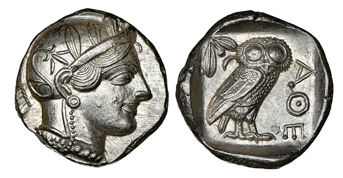 athenianowl4884579-023.jpg