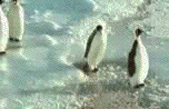 B1C46695-8F04-41D9-8800-90CD377E30B2.gif