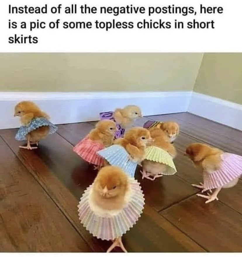 B70F5634-044F-4E9F-9423-D5DA47E1898C.jpeg