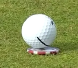 ball chip.webp