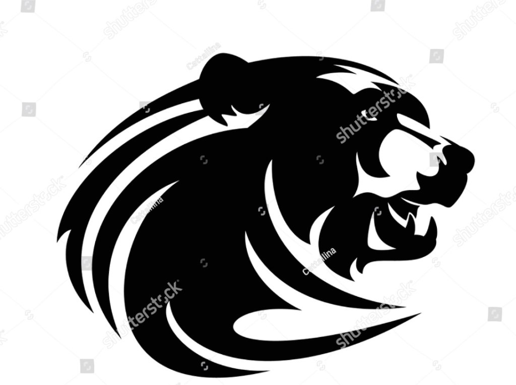 bear2.jpg