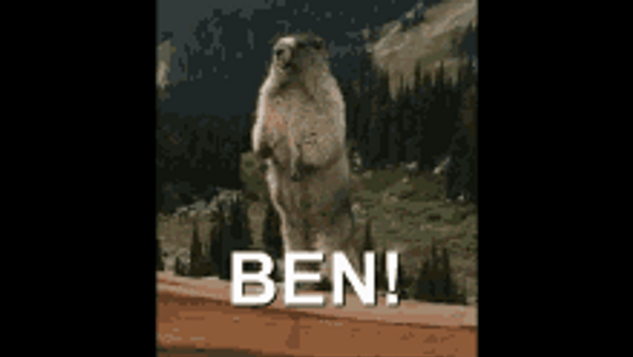 BEN!.gif