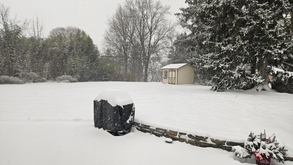 Blizzard.webp