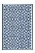 Blue Back B.webp