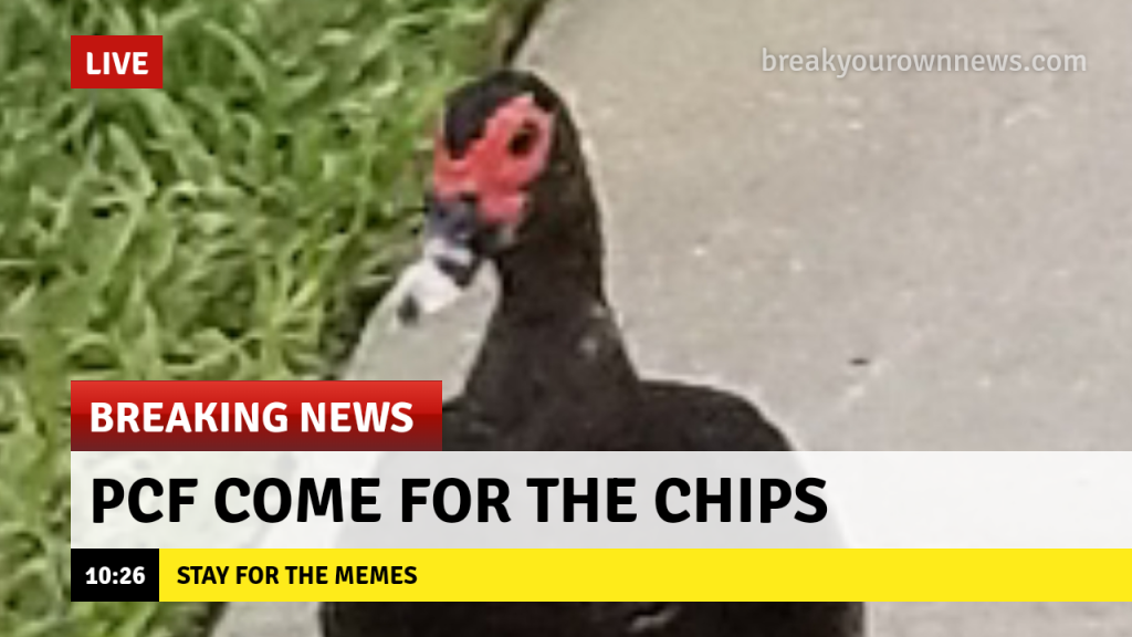 breaking-news.png