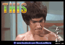 bruce-lee-bruce-lee-gif (1).gif
