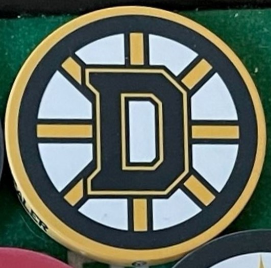 BRUINS.JPG