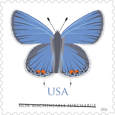 Butterfly Stamp.png