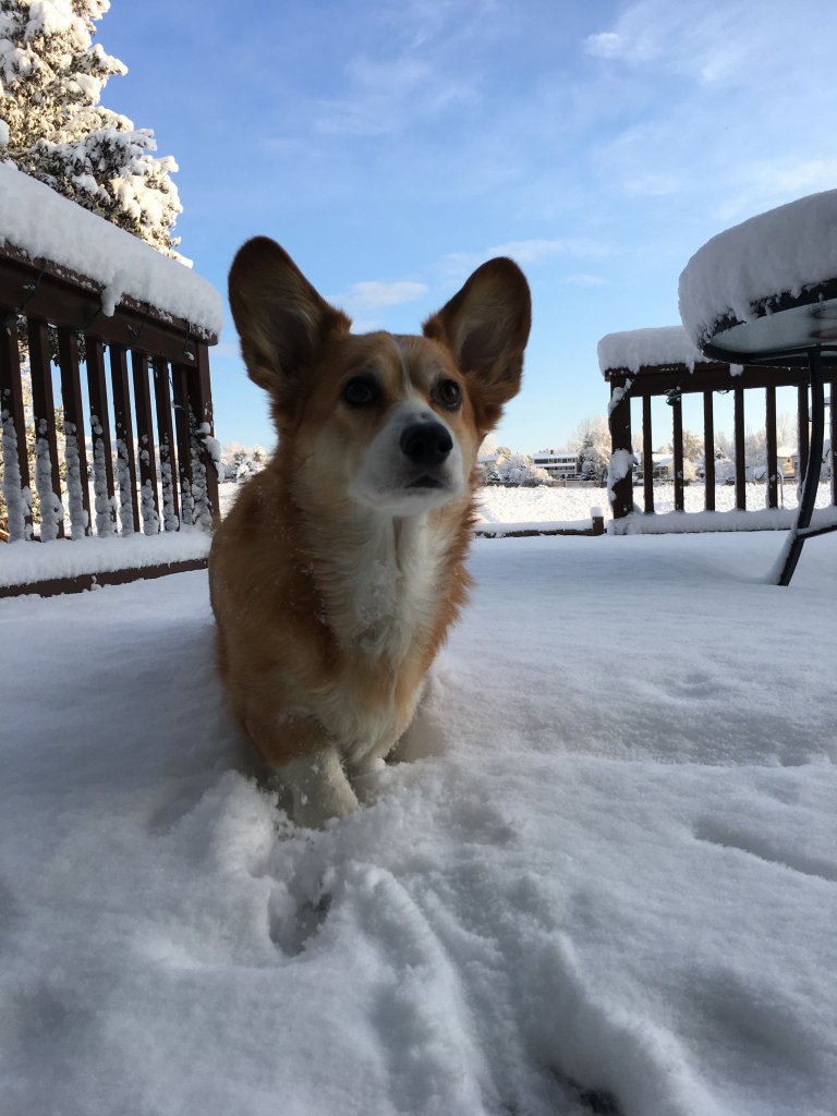 C35113C3-F666-490C-9770-733D5EA101A4.jpeg