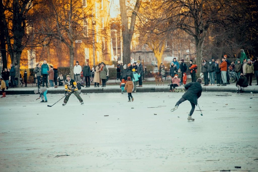 C5F56016-C7DE-450D-8E4A-78E8722508FD.jpeg