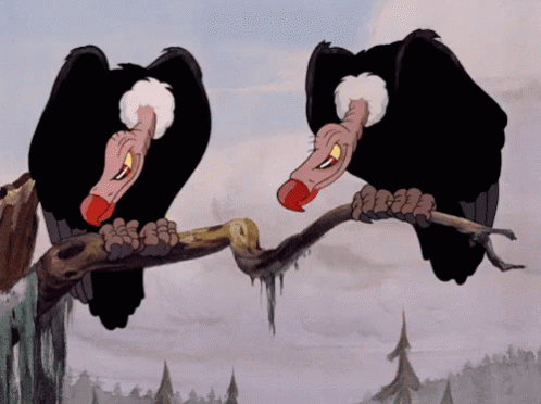 C7524465-A527-4A34-8F29-0AB715A1E98B.gif