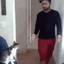 cat-high-five.gif