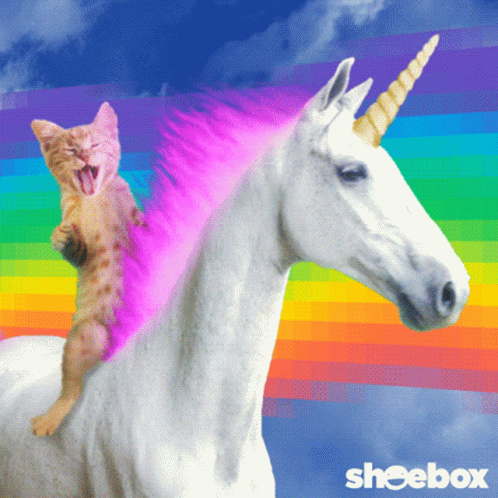 cat-unicorn.gif