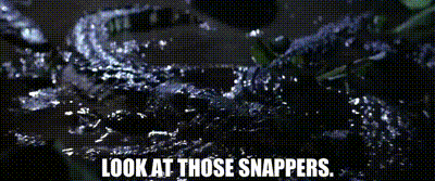 cb3f0800-967f-4a24-aaf3-9e9eedf7071c_text.gif