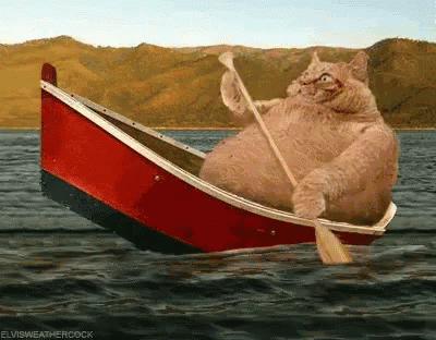 CEC7DF44-8A23-45DE-B310-DBE57069D29B.gif