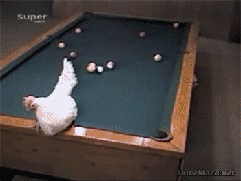 ch.gif