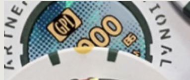 chip.JPG