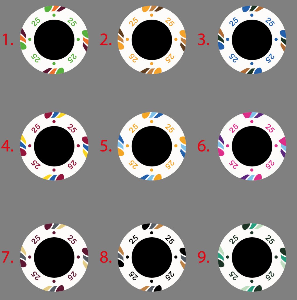 Chip3.jpg