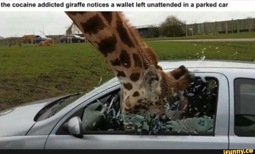 cocaine giraffe.jpg