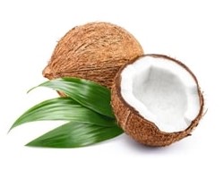 Coconuts JPG.jpg