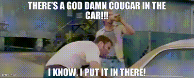 COUGAR.gif