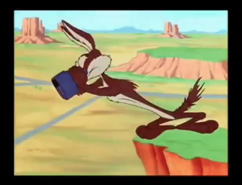 coyote searching.gif