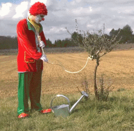 csg.gif