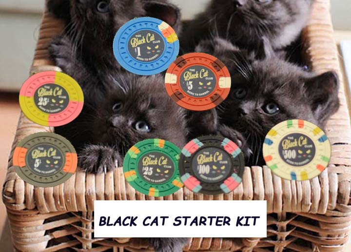 cute-black-kittens-basket copy.jpg