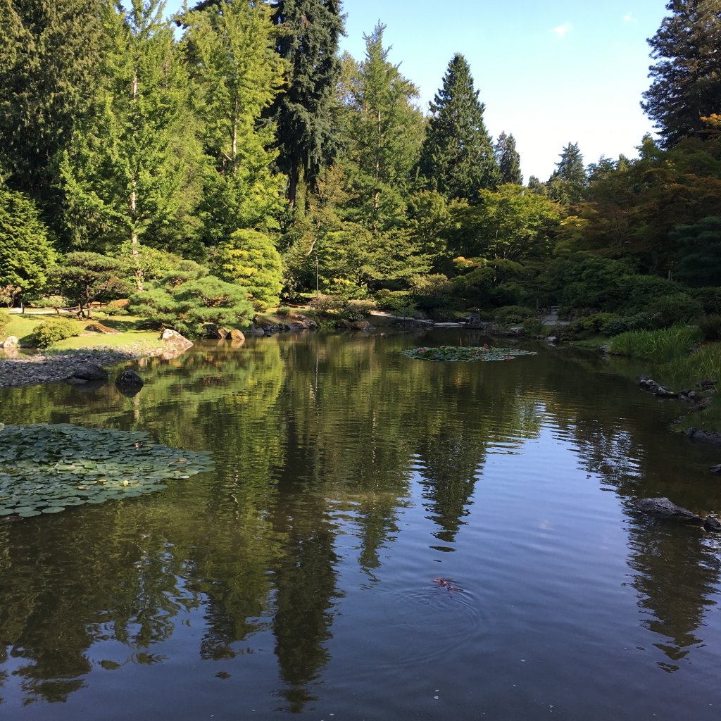 D261859F-12FD-4698-B9F6-C1155EA4C1F1.jpeg