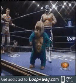 d67348b6a94618624485ad27c7b33ec6.gif