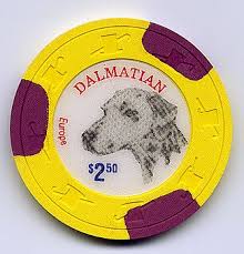 dalmation.jpg