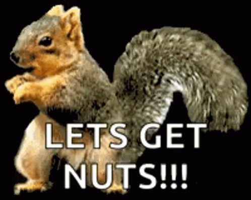 dance-squirrel.gif