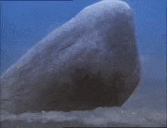 DapperEachDingo-max-1mb.gif