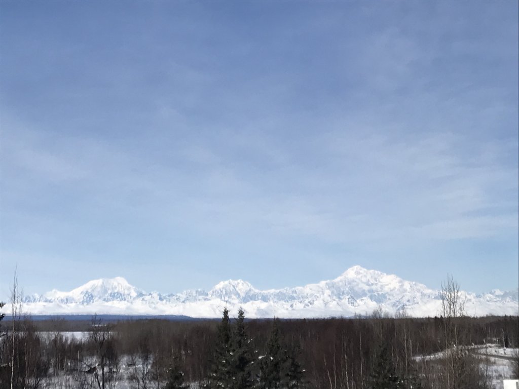 DF1333EF-8F48-4C0D-906F-F557A72AF328.jpeg