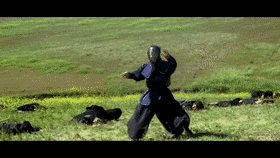 DigitalSereneAidi-max-1mb.gif