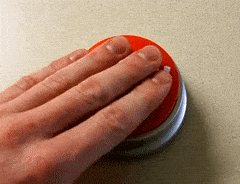 DiscreteVengefulArgentinehornedfrog-max-1mb.gif