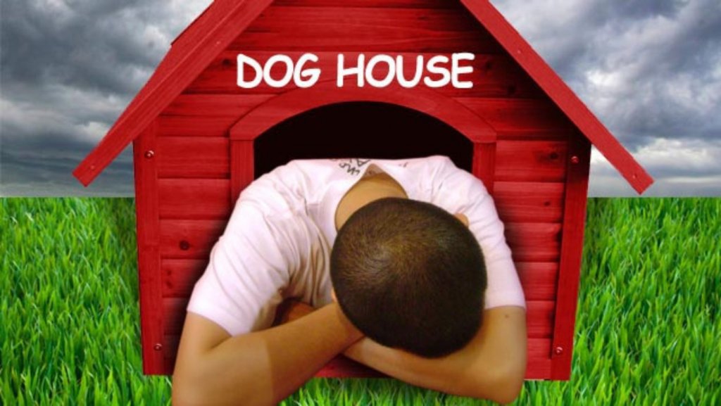 Dog-House.jpg
