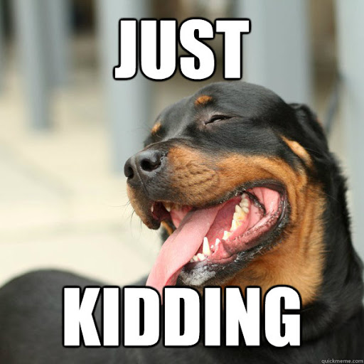 dog.jpg