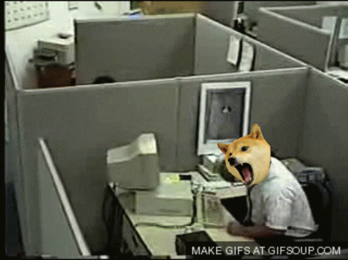 dogecoin-doge.gif