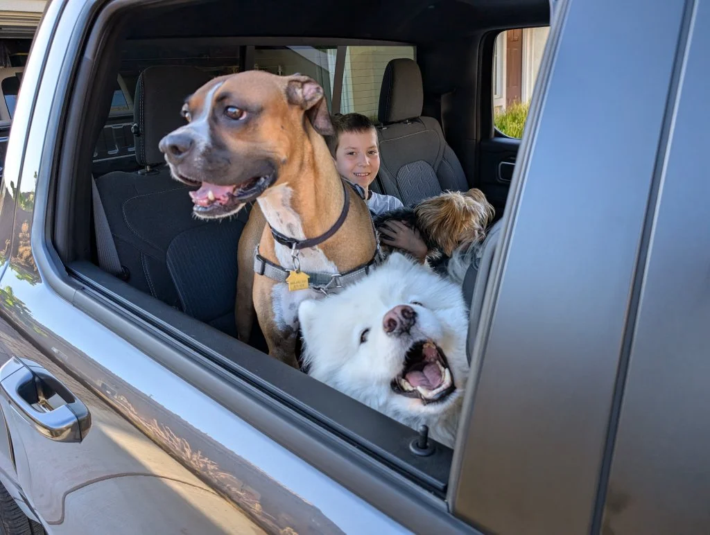 Dogs-Ram.webp