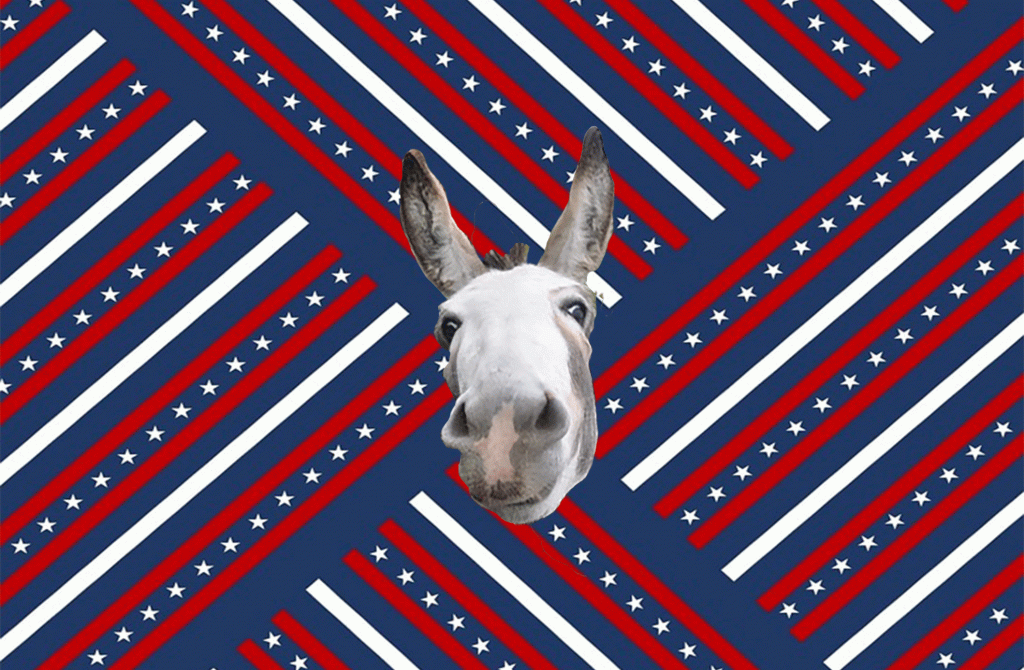 donkey.gif