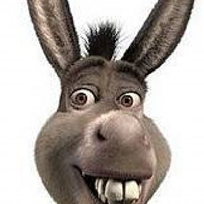 donkey_head_400x400.jpg