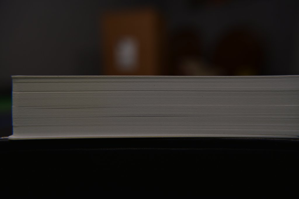 DSC_0003.JPG