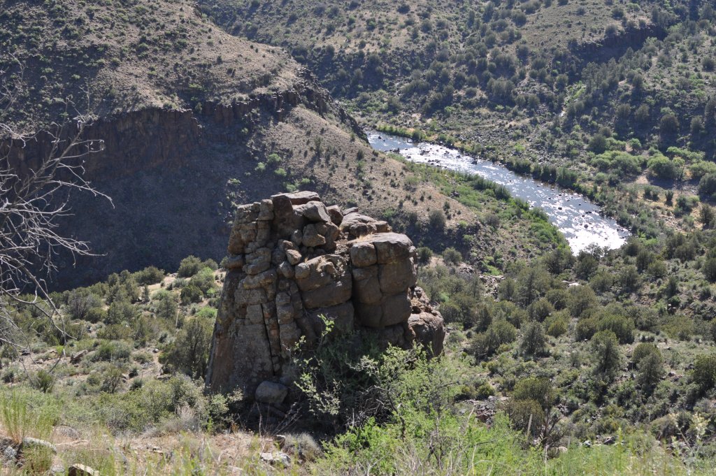 DSC_0073.JPG