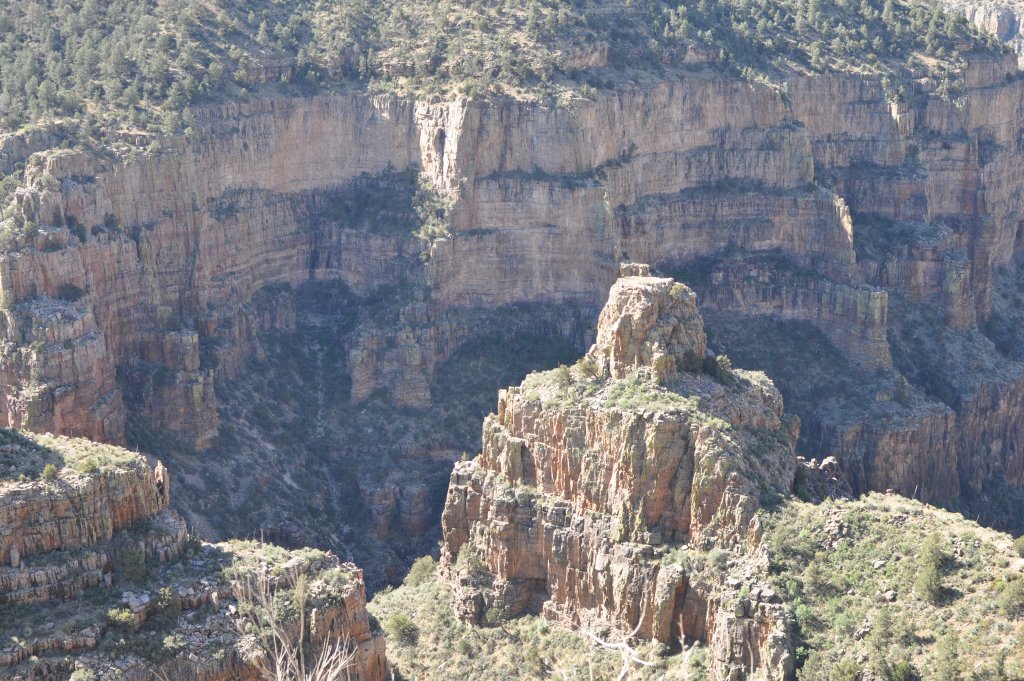 DSC_0082.JPG