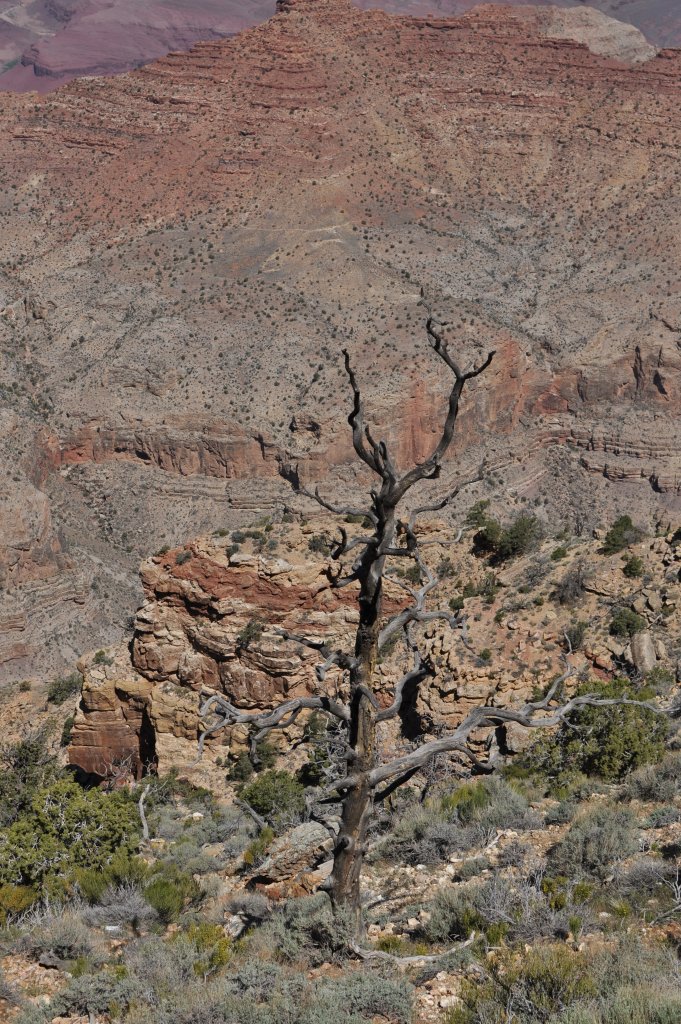 DSC_0438.JPG