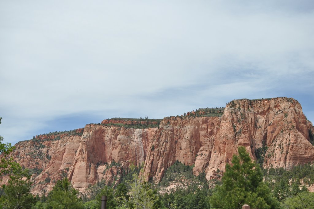 DSC_0500.JPG