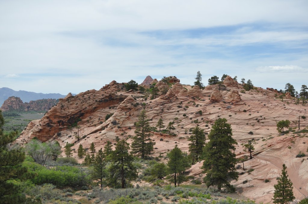 DSC_0517.JPG